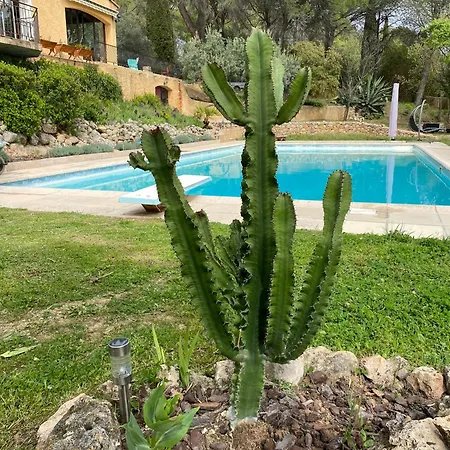 Bed & Breakfast D'hotes De Charme La Joseline Flayosc